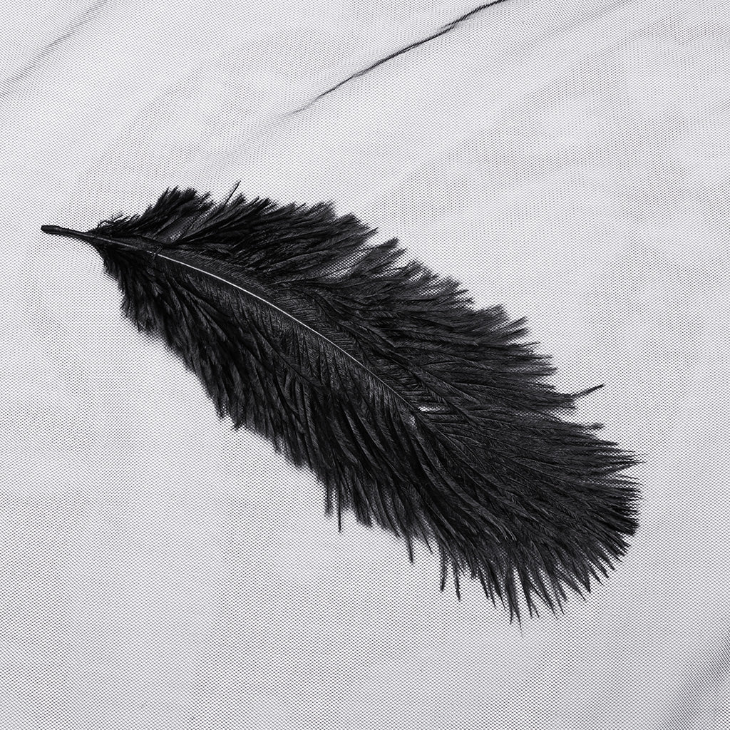 WS-731FSF Gothic Feathered Elegance Sheer Long Black Veil Dress?-??Punk Rave Clothing